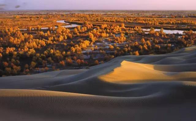  科雷兹顽强抵抗虽败犹荣赢得外界赞誉